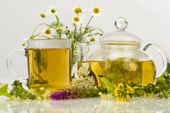 belar decoction prostatitisaren antibiotiko natural gisa